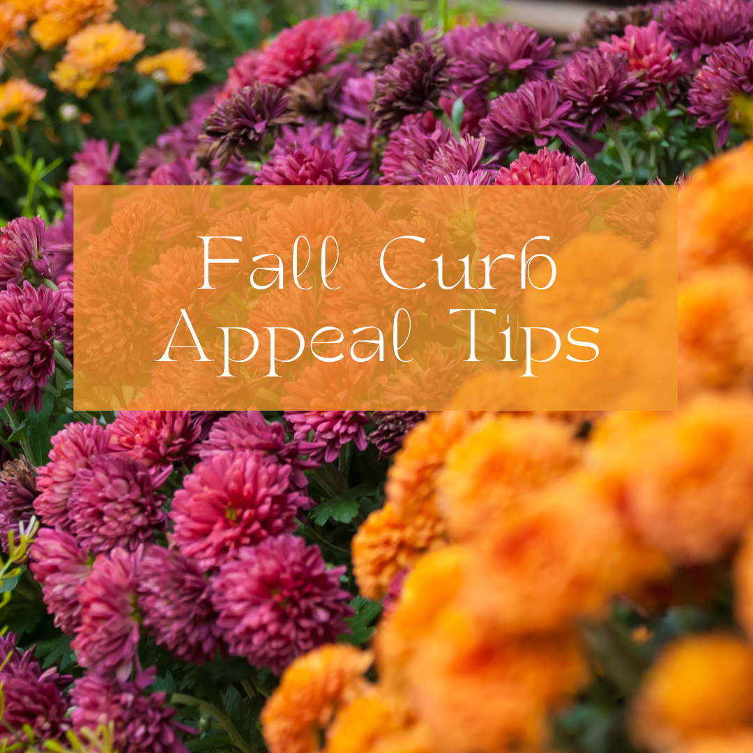 Fall Curb Appeal Tips