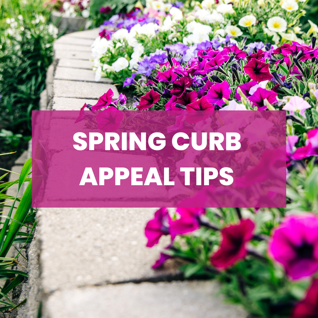 SPRING CURB APPEAL TIPS